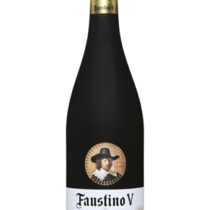 Faustino V Rioja Reserva