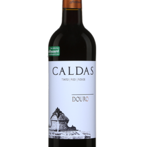 Domingos Alves de Sousa Caldas Douro 2024