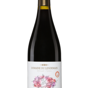 Famille Ribière Carignan Vignes Centenaires 2022