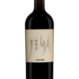Gerardo Cesari Jema 2017