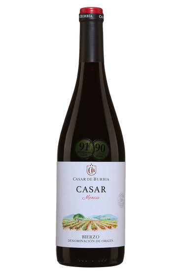 Casar de Burbia Mencia Bierzo
