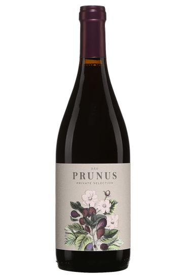 Gota Prunus Private Selection