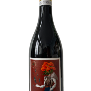La Cantina Pizzolato S.r.l. cabernet sauvignon senza solfiti 2024
