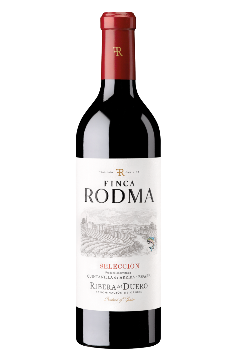 Rodma Avisor 2021