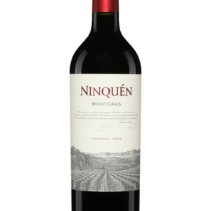 Montgras Ninquen Moutain Vineyard Valle del Colchagua