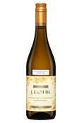FINAL SALE | J. Lohr Chardonnay Riverstone Arroyo Seco Monterey 2022