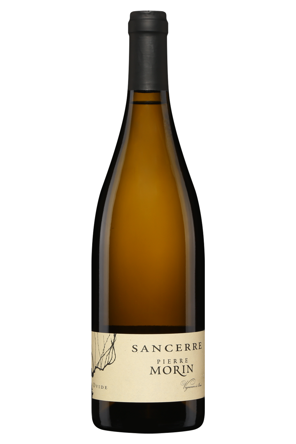 Pierre Morin Sancerre Ovide 2023